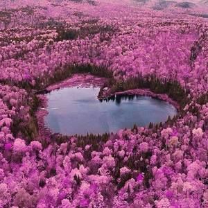 Meet your Posher, Michele