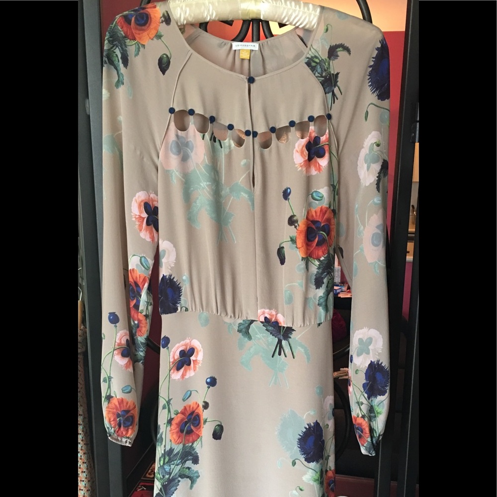Exquisite Liefsdottir dress
