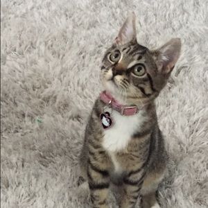 Meet your Posher, Janie