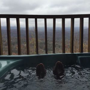 Meet your Posher, Otis