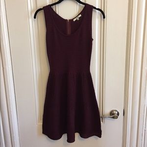 BB Dakota Knit Dress