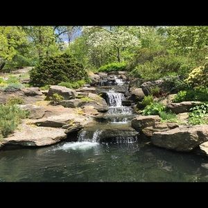 Meet your Posher, Dawa