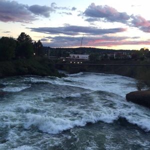 Meet your Posher, Grace