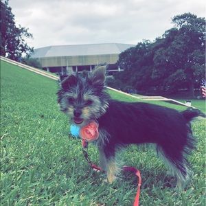 Meet your Posher, Claudia