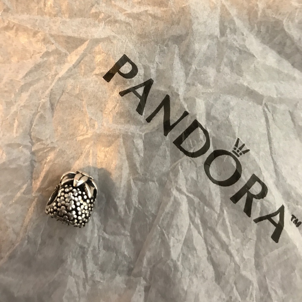 Pineapple pandora charm