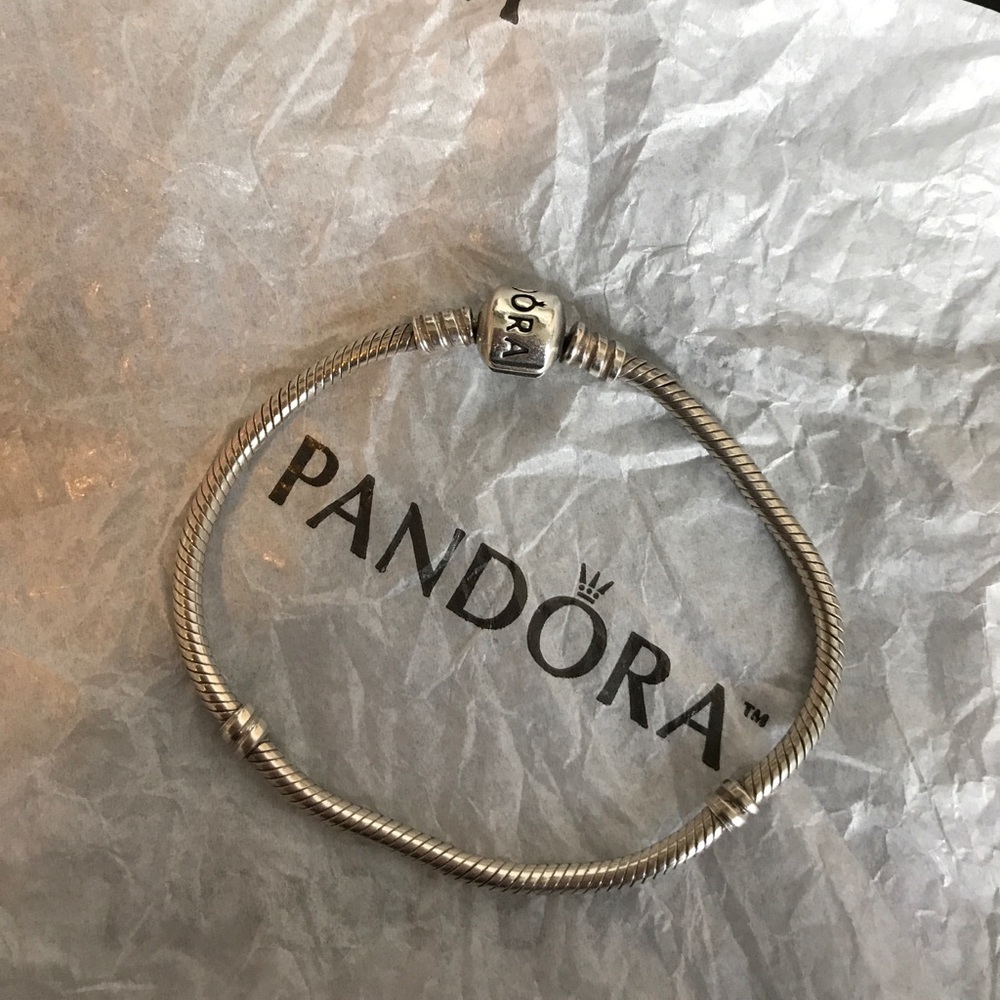 Iconic pandora charm bracelet