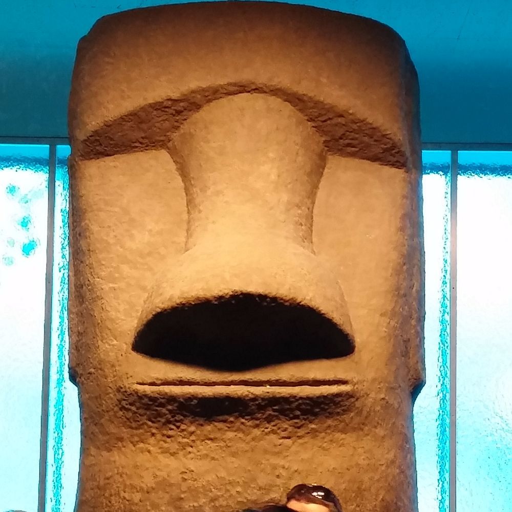 Meet your Posher, Max