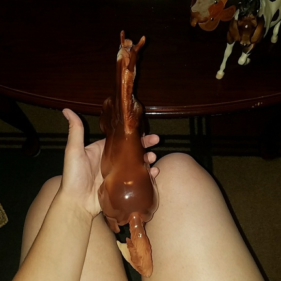 Breyer - Picture 8 of 8