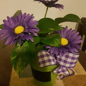 Meet your Posher, Gracie