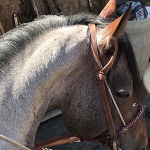 Meet your Posher, Camilo