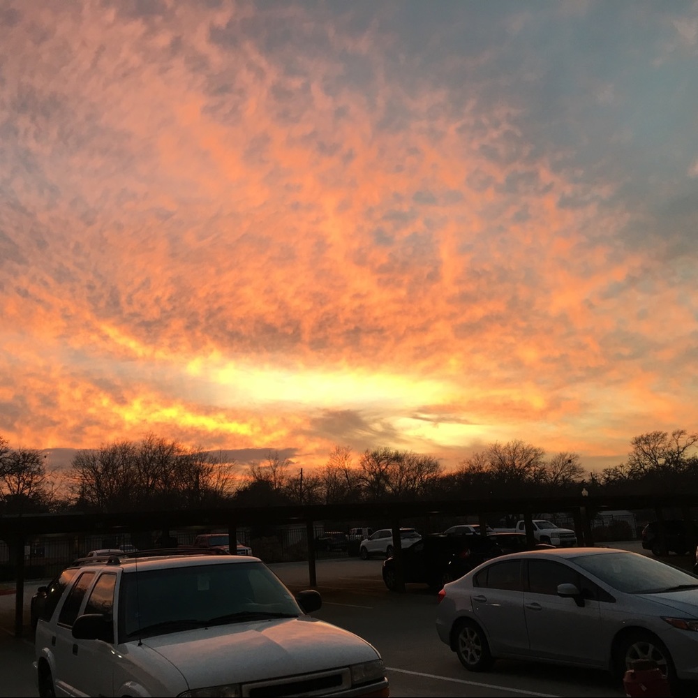 Meet your Posher, Ashlen