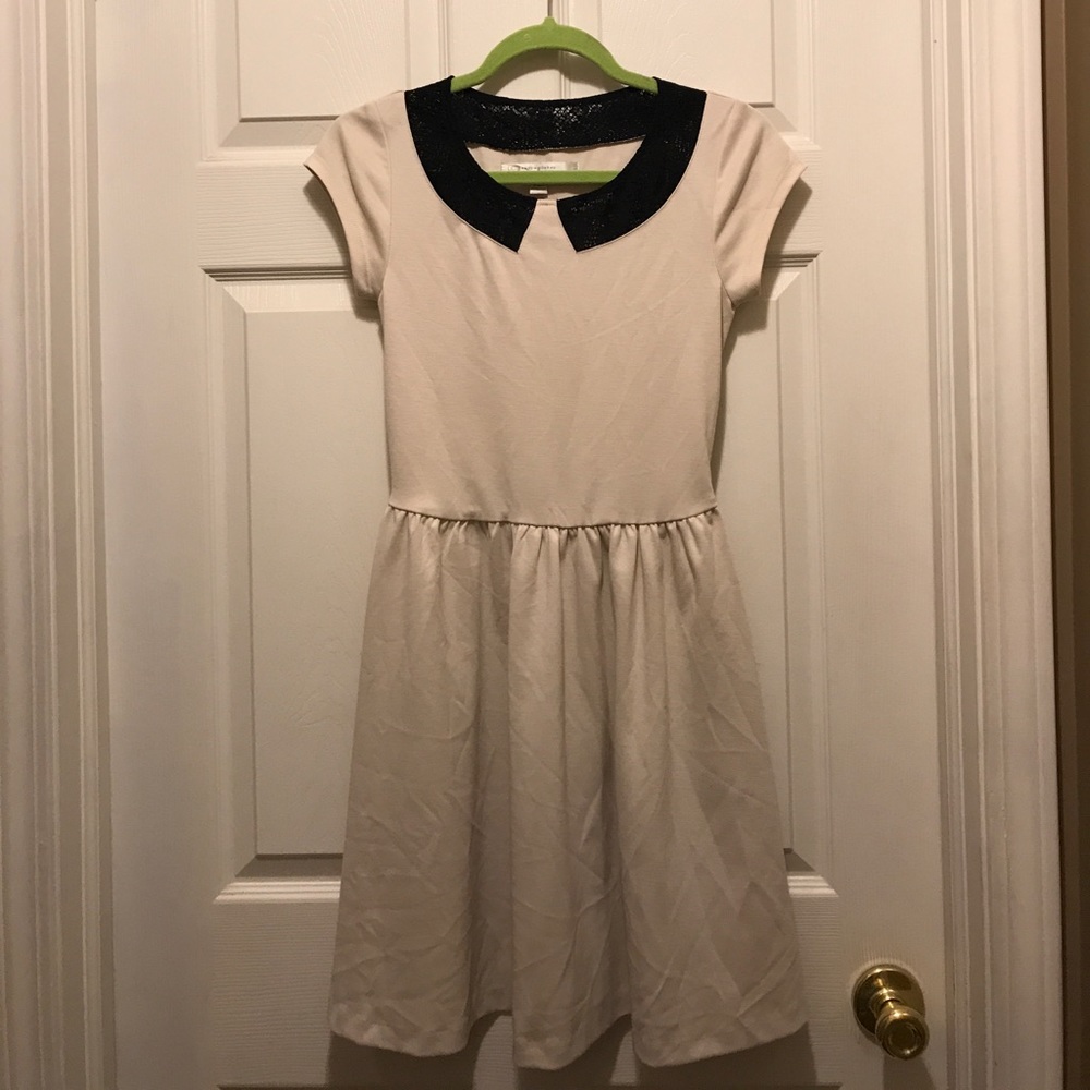 Lauren Conrad lace collar dress Classic  NWOT