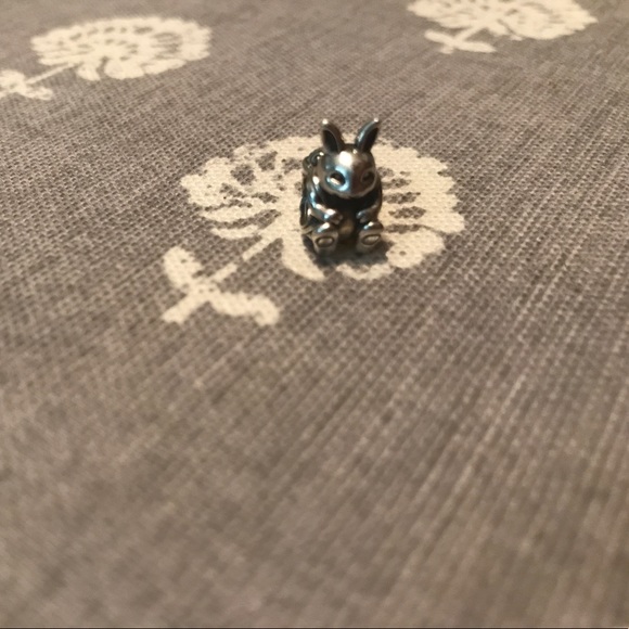 Pandora Bracelet and Charms - Picture 3 of 5