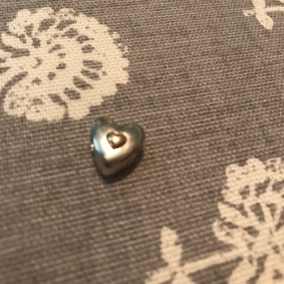 Pandora Bracelet and Charms - Picture 4 of 5