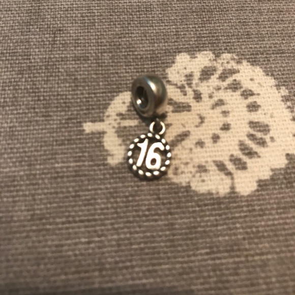 Pandora Bracelet and Charms - Picture 5 of 5