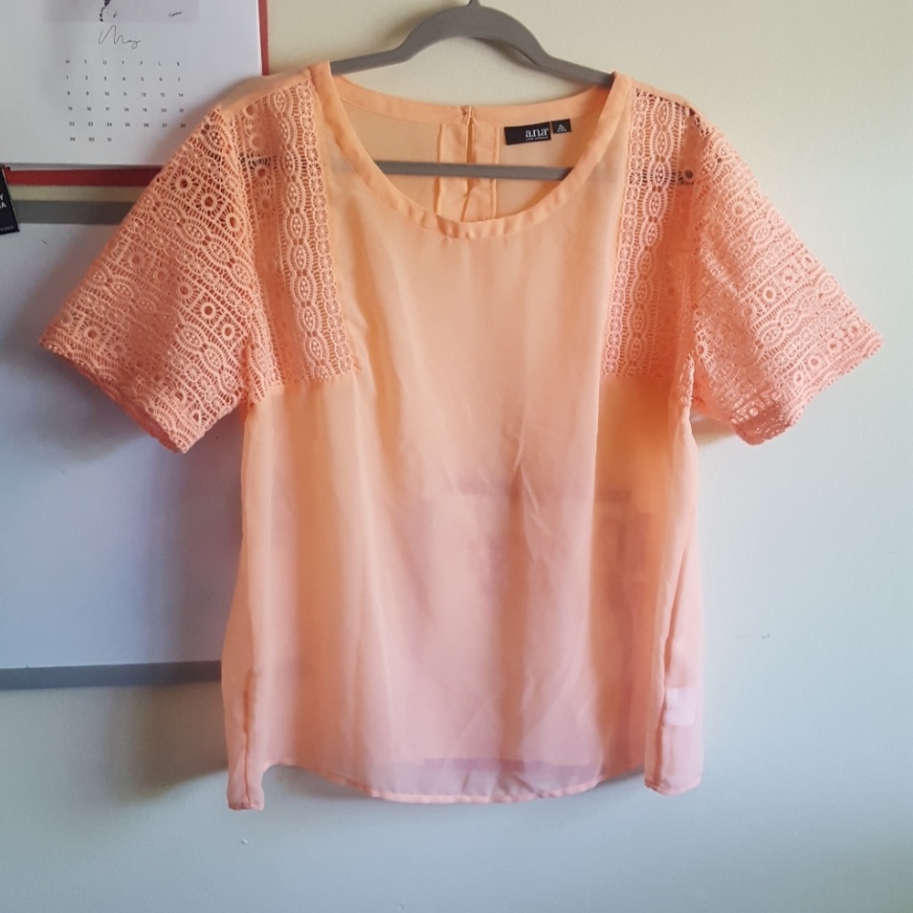 Sheer salmon pink ANA blouse