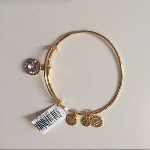Light Amethyst June Birth. Alex & Ani Bangle