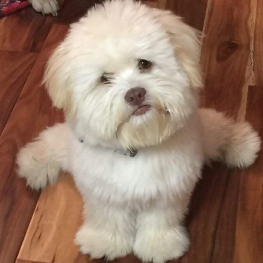 Meet your Posher, Carlos c.