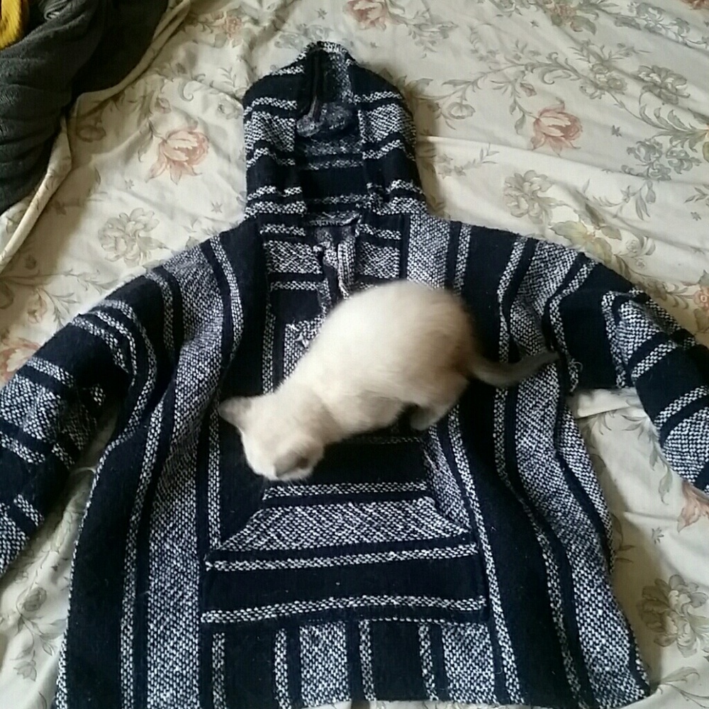 Unisex drug rug