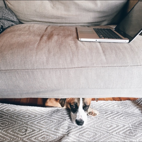 Meet your Posher, Natalia - Picture 3 of 3