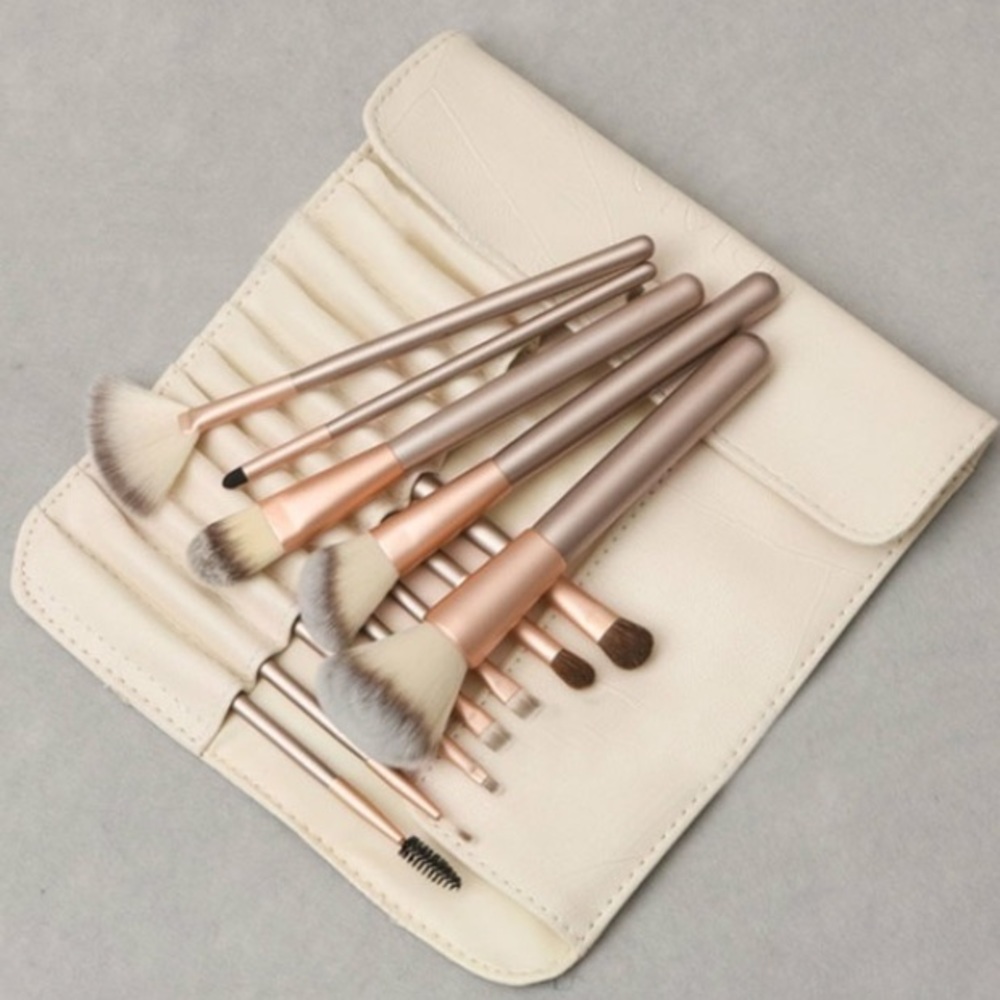 12 piece makeup brush set with carry case