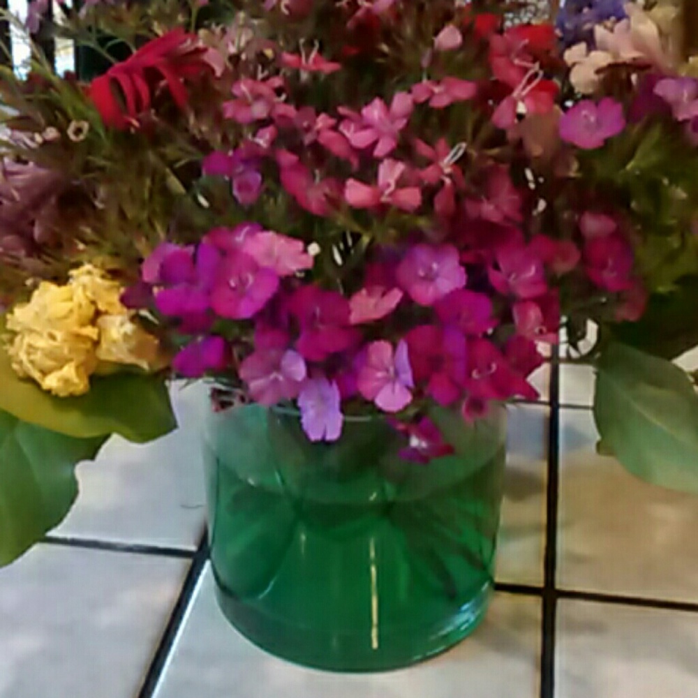 Meet your Posh Ambassador, Gytha