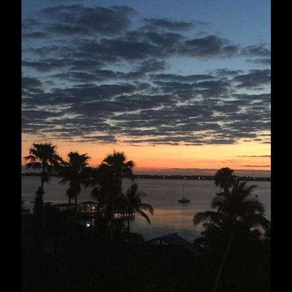 Meet your Posher, Nancy - Picture 2 of 4