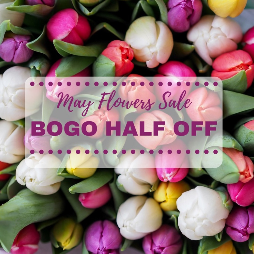 BOGO 1/2 off! Sale extended!