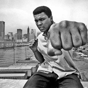 Meet your Posher, Corey