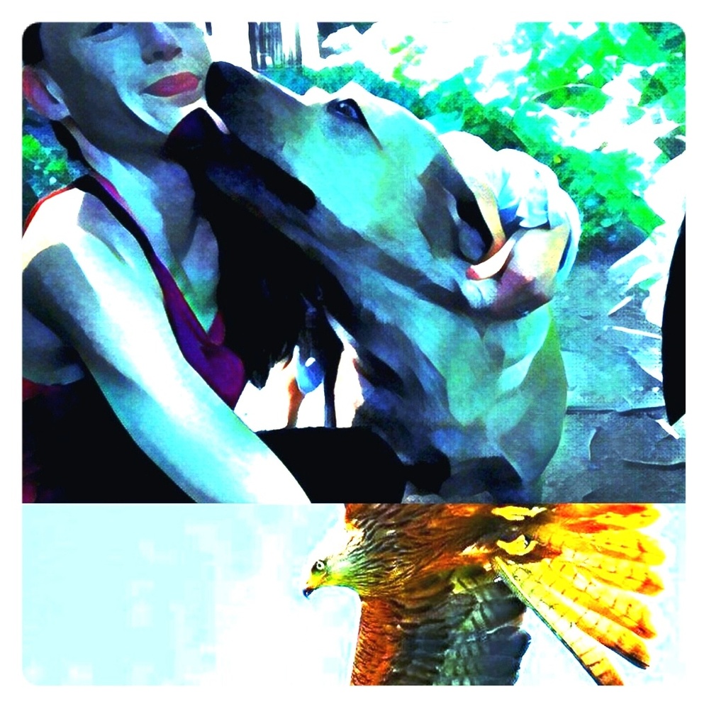 Meet your Posher, Jane