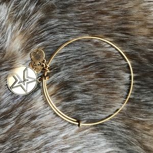 Alex and Ani Houston Astros Bracelet