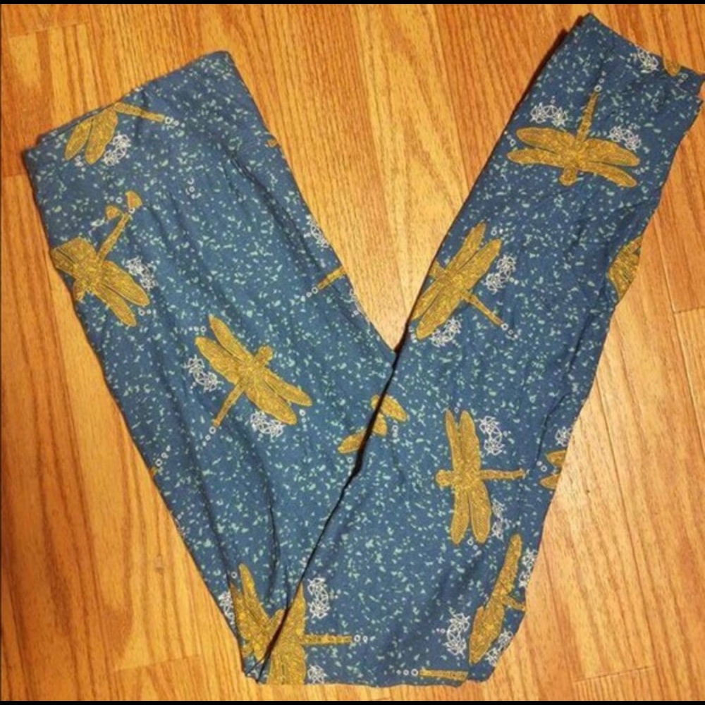 TC dragonflies