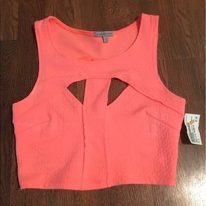 Summer crop top