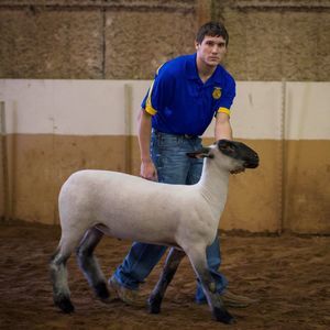 Meet your Posher, Pat