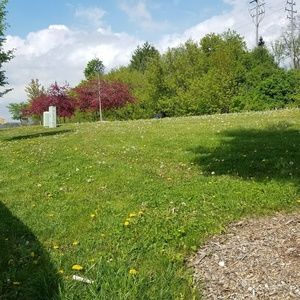 Meet your Posher, Eduardo