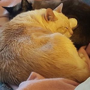 Meet your Posher, June