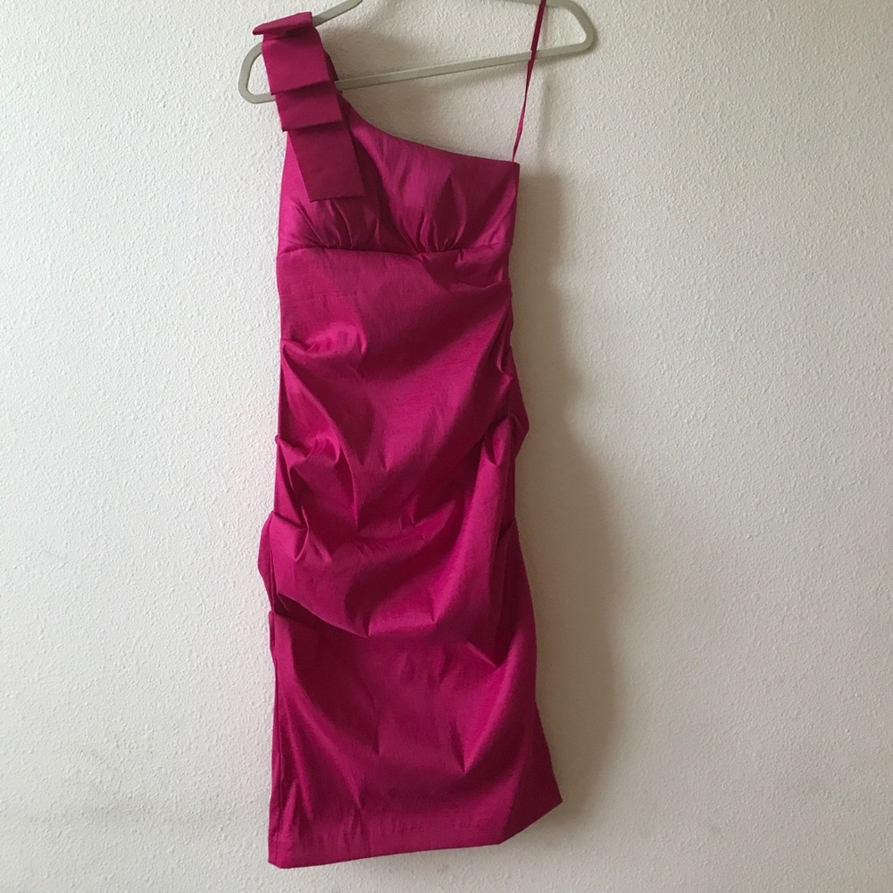 BRAND NEW GORGEOUS CACHE DRESS