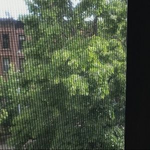 Meet your Posher, Mekeisha