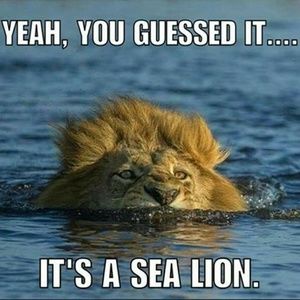 Meet your Posher, Kristin