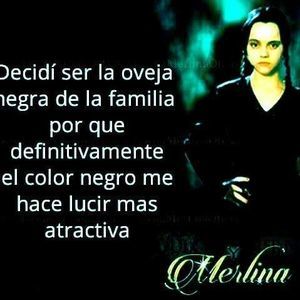 Meet your Posher, Eva