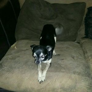 Meet your Posher, Kelly