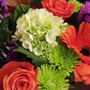 Meet your Posher, Kayoua