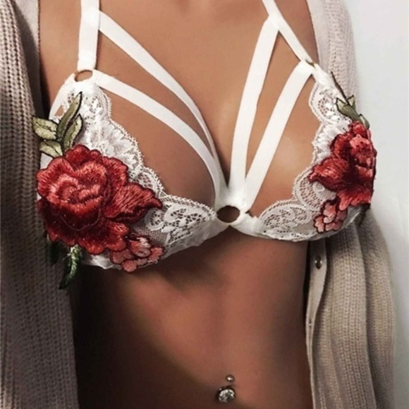 🚨FINAL SALE! 🚨🌹"Isabelle" Embroidered Bustier - Picture 2 of 2