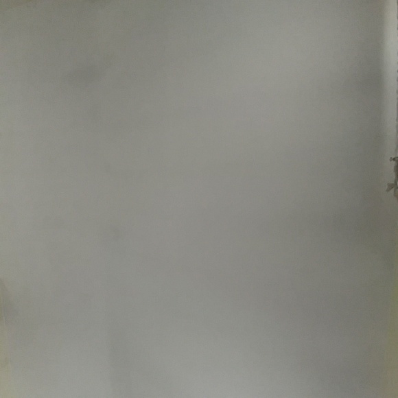 Meet your Posher, Jenny - Picture 1 of 1