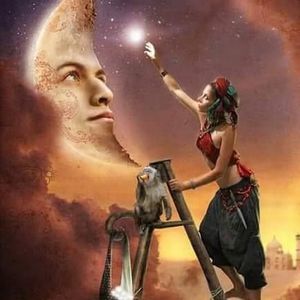 Meet your Posher, William