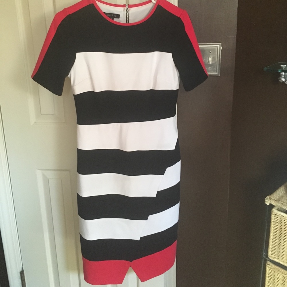 Ivy and blu ponte striped dress