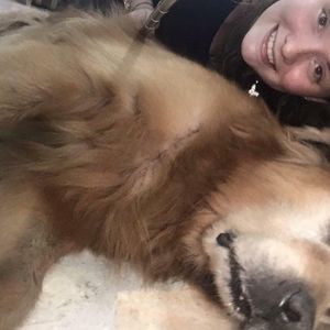 Meet your Posher, Lina