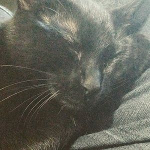 Meet your Posher, Riley