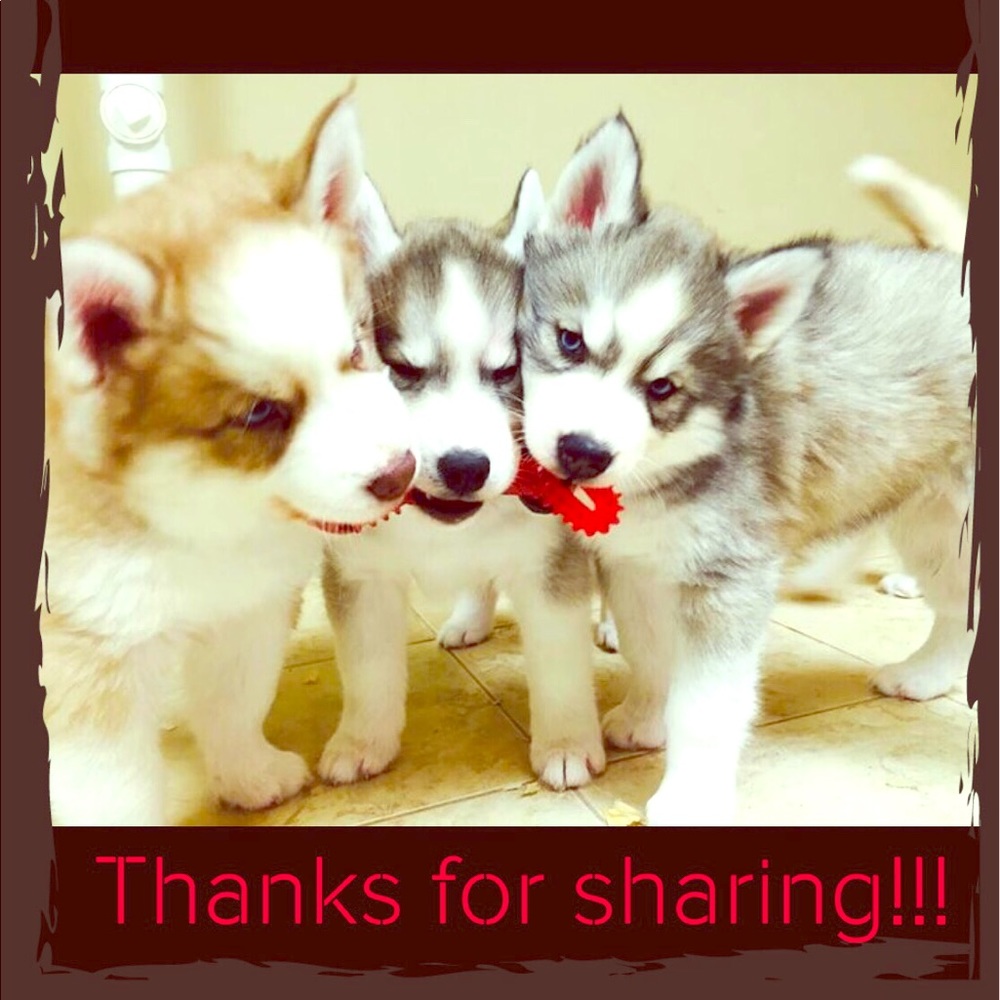 THANKS❤️FOR❤️SHARING!!!