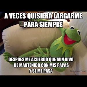 Meet your Posher, Beto